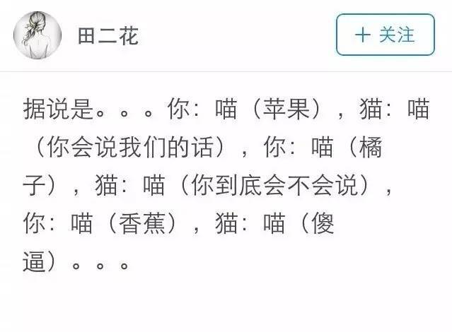 对猫咪学猫叫之后，猫咪也会回个“喵”，它是什么意思？