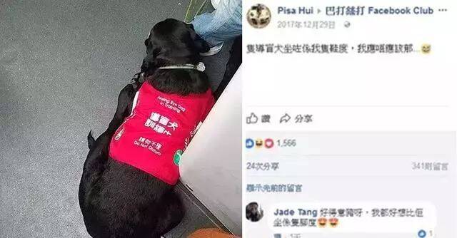 导盲犬上车后一屁股坐在乘客脚上，乘客：我不舍得把脚挪开