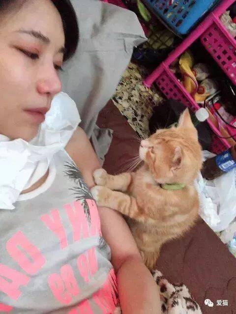 这只才3个月大的猫咪，当看到主人在哭时，它就会这样做...