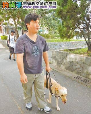 导盲犬首次进驻辅大陪伴大四学生一起生活