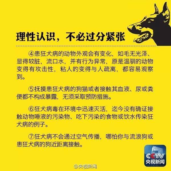 狗咬了没破皮出了点血印 有感染狂犬病的可能吗